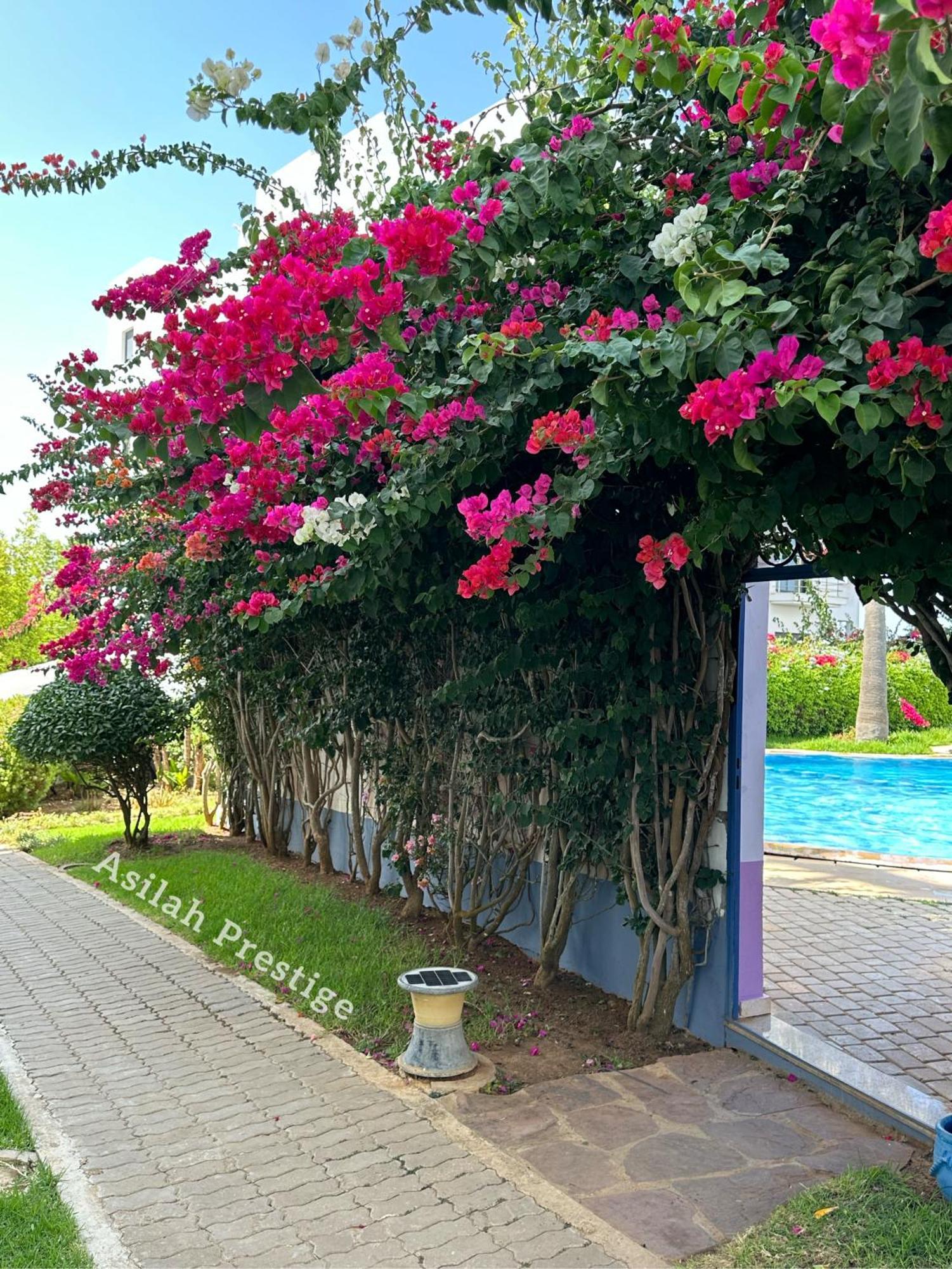 Prestige -vue -haut Standing - Piscines- A 5 Minute - Garage Privee - Acces Pmr Apartment